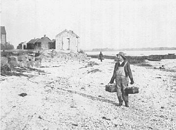 Clamdigger known as Bitzer, with two baskets of clams, over south, about 1929.