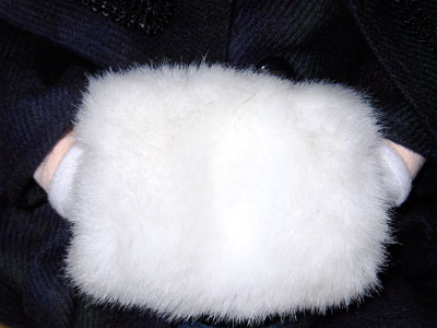 The Girl with the White Fur Muff Cover Image